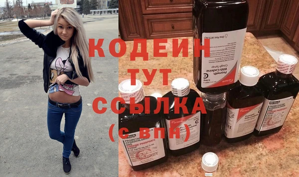 индика Кукмор