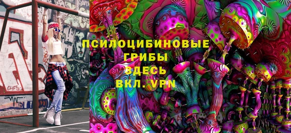 МДПВ Абдулино